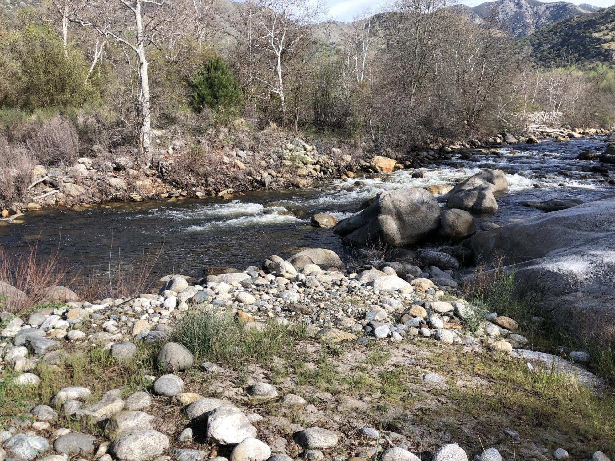 Sierra Lodge Three Rivers Εξωτερικό φωτογραφία